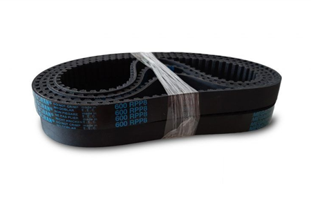 Dây Curoa CINGHIA DENT 600 RPP5-15 DUAL